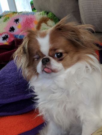 22519361_1937188002972934_4935518422837501453_n