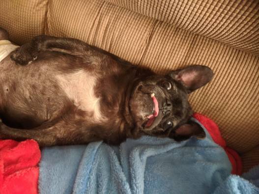 72609889_3400470276644692_8349926163027591168_o